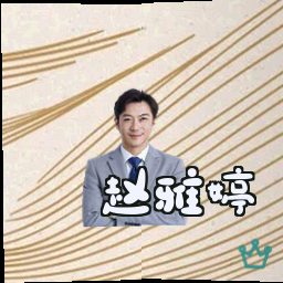 赵雅婷